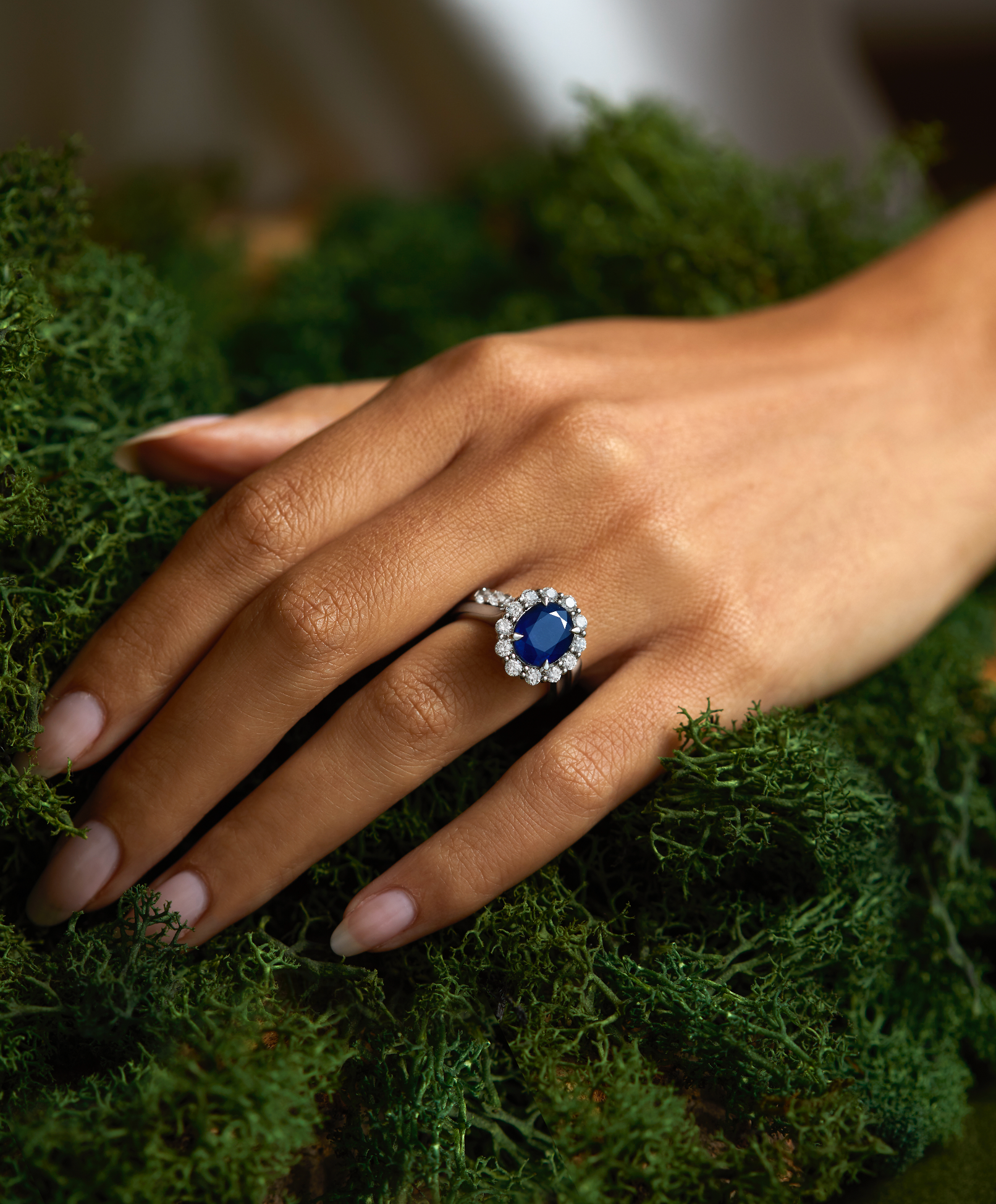 Your choice of Provenance